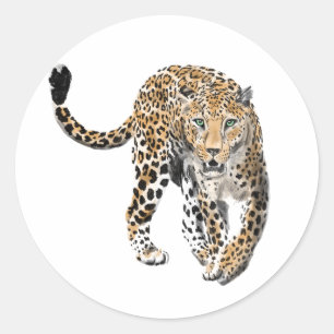 Adesivo aquarela leopardo gato da selva animal pintado ver