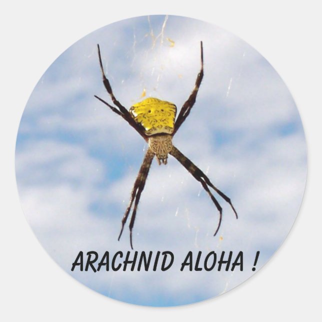 Adesivo Arachnid Aloha aranha do jardim havaiano (Frente)
