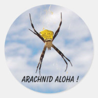 Arachnid Aloha aranha do jardim havaiano