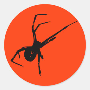 Adesivo Aranha