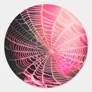 Adesivo Aranha-Aranha Preta-Rosa-Quente-Assustadora-Louca