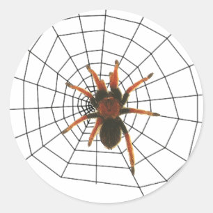 Adesivo aranha assustador grande