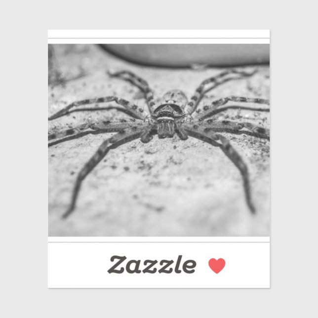 Adesivo Aranha-caçadora (Folha)