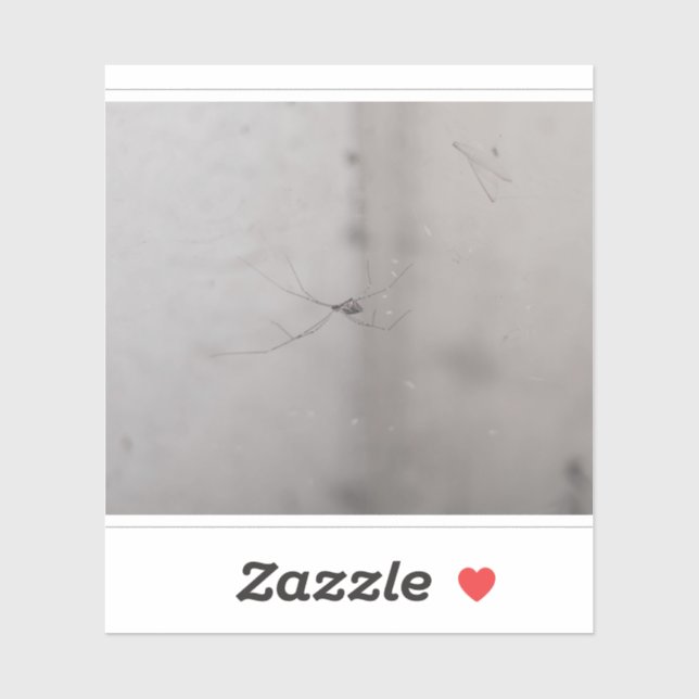 Adesivo aranha-cega cosmopolita (Folha)