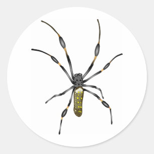 Adesivo Aranha dourada da esfera