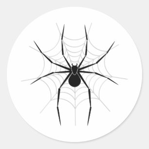 Adesivo Aranha em uma Web