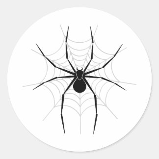 Adesivo Aranha em uma Web