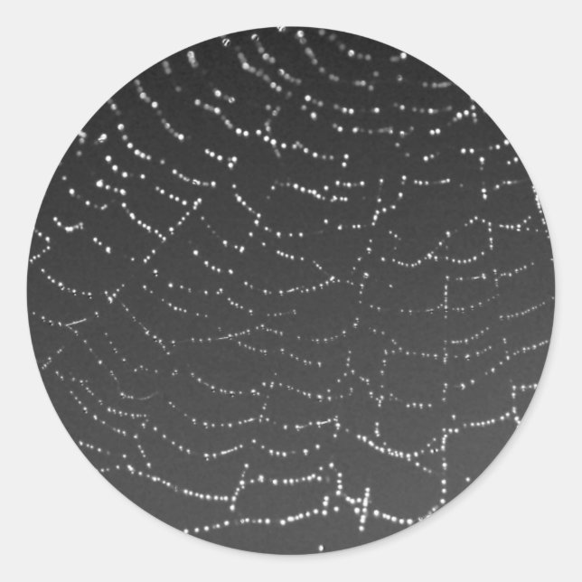 Adesivo Aranha Esponteada (Frente)