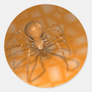 Adesivo Aranha Laranja