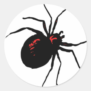Adesivo Aranha Mortal