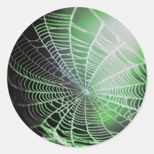 Adesivo Aranha Negra Verde Assustadora