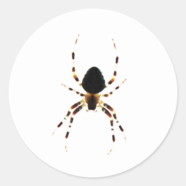 Adesivo Aranha st arc3 (Frente)