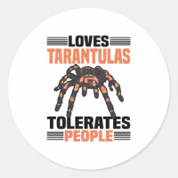 Aranha Tarantula | Aranhas-tarântulas dotadas