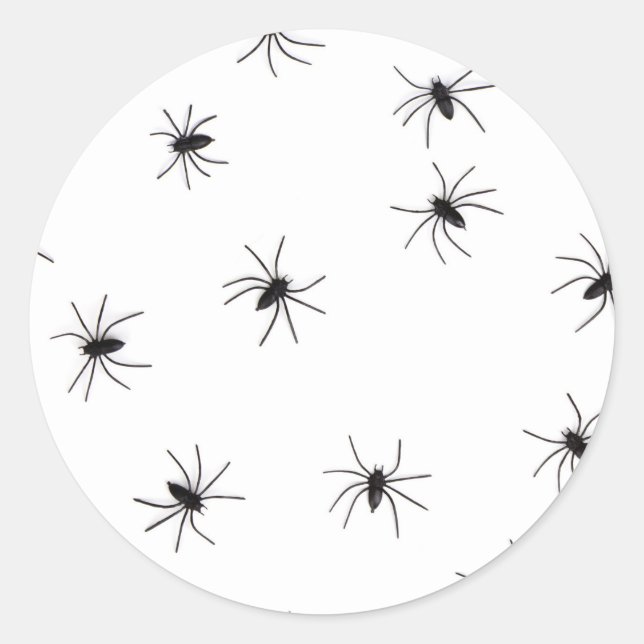 Adesivo aranhas (Frente)