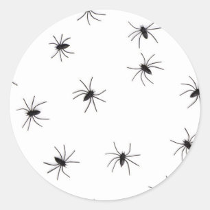 Adesivo aranhas