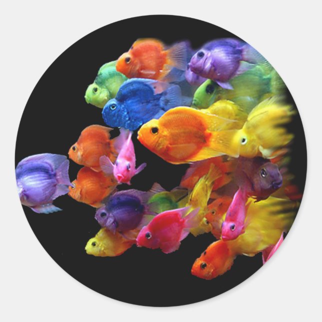 Adesivo Arco-íris de Parrotfish (Frente)