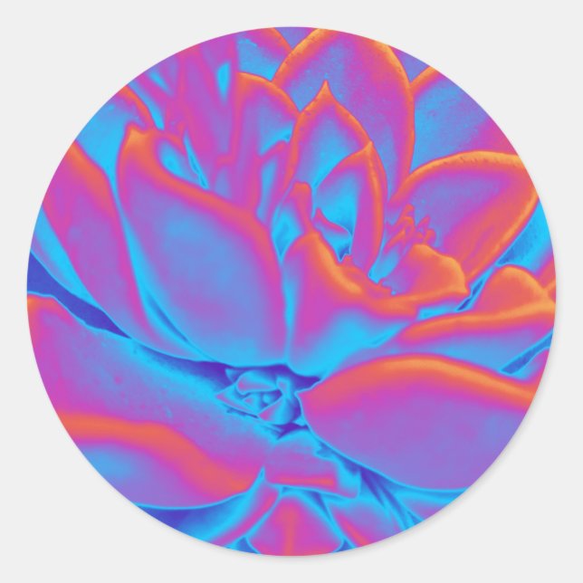 Adesivo Arco-íris - Planta suculenta (Frente)