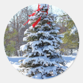 Adesivo Arco Vermelho Evergreen