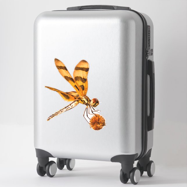 Adesivo Armadilha de galáxias com galinha em Bur-Reed (Mala)