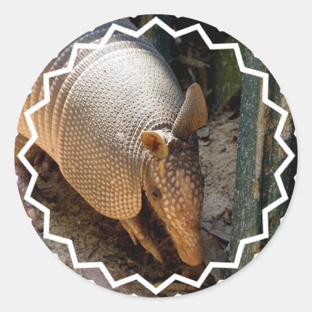 Adesivo Armadillo Stickers (Frente)