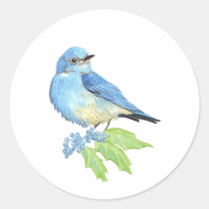 Adesivo Arte azul do pássaro do Bluebird da montanha da