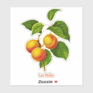 Adesivo Arte Botânica Vintage - Pêssegos e Folhas