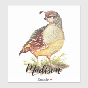 Adesivo Arte da natureza do pássaro das codorniz de