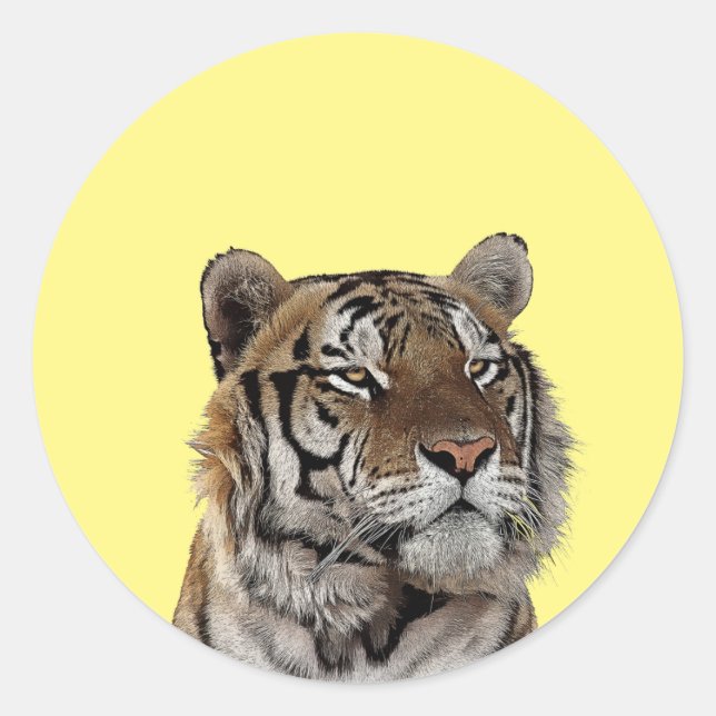 Adesivo arte da vida selvagem de animais macho-tigre (Frente)