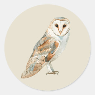 Adesivo Arte de Animal Selvagem Coruja do Celeiro Aquarela