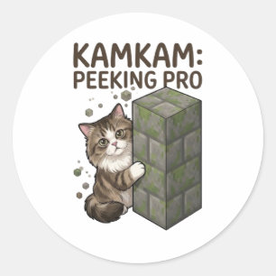 Adesivo Arte de Gato em Bloco de Pixel Divertido KAMKAM Pe