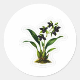 Adesivo Arte de Orquídea Preta Elegante - Flor Indonésia R