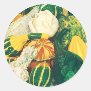 Adesivo Arte de Pacote de Sementes Antigas, Abóboras Varia