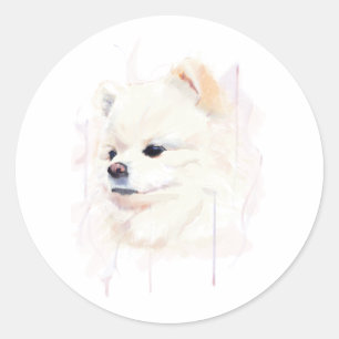 Adesivo Arte de Parede de Pomerânia Poster, Pintura em Aqu