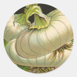 Adesivo Arte de rótulo de pacote de sementes vintage Cebol