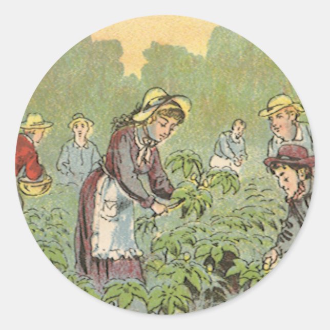Adesivo Arte de rótulo de produto antigo, Pílulas de Maçã  (Frente)