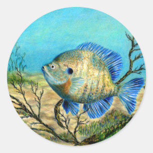 Adesivo Arte de vencimento por G. Ladrador - categoria 11