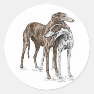 Adesivo Arte do cão de dois amigos do galgo