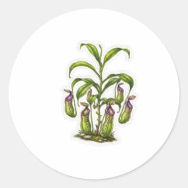 Adesivo Arte Exótico da Planta Jarro - Carnívora Indonésia