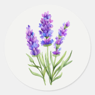 Adesivo arte floral de flor de jardim de lavanda roxa