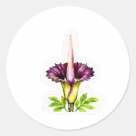 Adesivo Arte Majestosa da Flor de Cadáver - Ícone Botânico