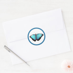 Adesivo Arte natural da borboleta azul, ilustração fotográ