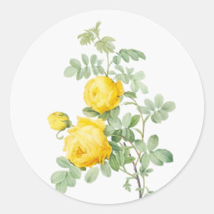 Adesivo Arte Original Aquarela Jardim Flor Rosas