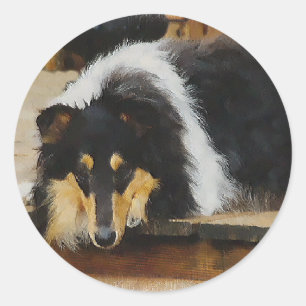 Adesivo Arte Tricolor Rough Collie Oferece Ofertas