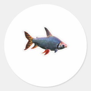 Adesivo Arte Vibrante de Peixes Ornamentais - Belos A