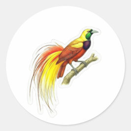 Adesivo Arte Vibrante do Pássaro do Paraíso - W Indonésio