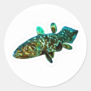 Adesivo Artístico Peixe Rei Antigo Celacanto
