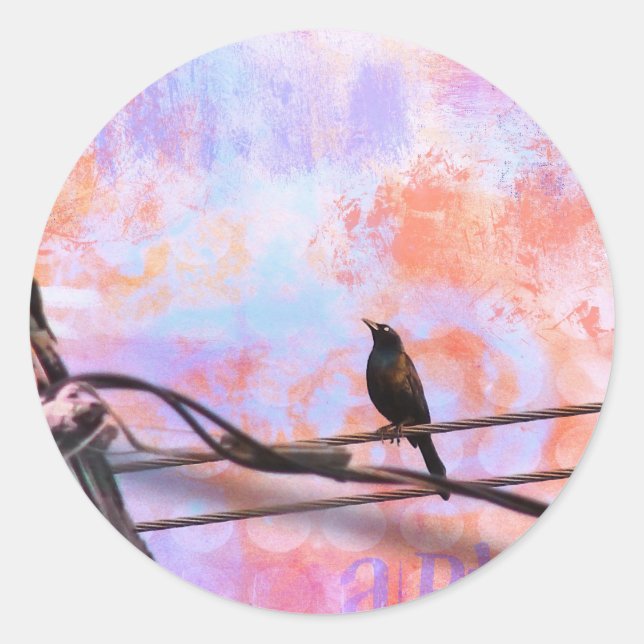 Adesivo Artsy Grackle (Frente)