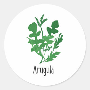 Adesivo Arugula Spices Herbs
