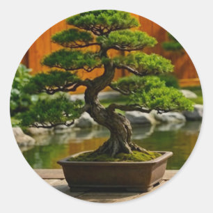 Adesivo Árvore Bonsai do Dragão do Equilíbrio