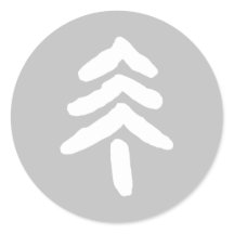 Árvore branca de pinheiro nas Cinzas